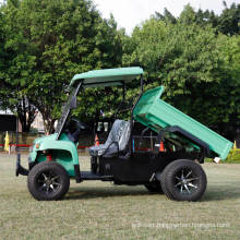 48V Lead Acid Battery 5kw Electric UTV